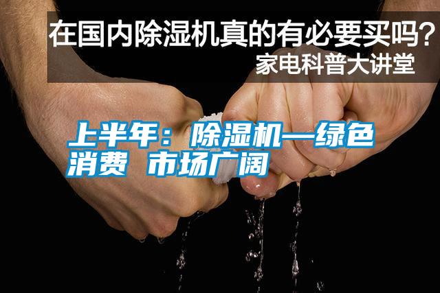 上半年:除濕機(jī)—綠色消費(fèi) 市場廣闊