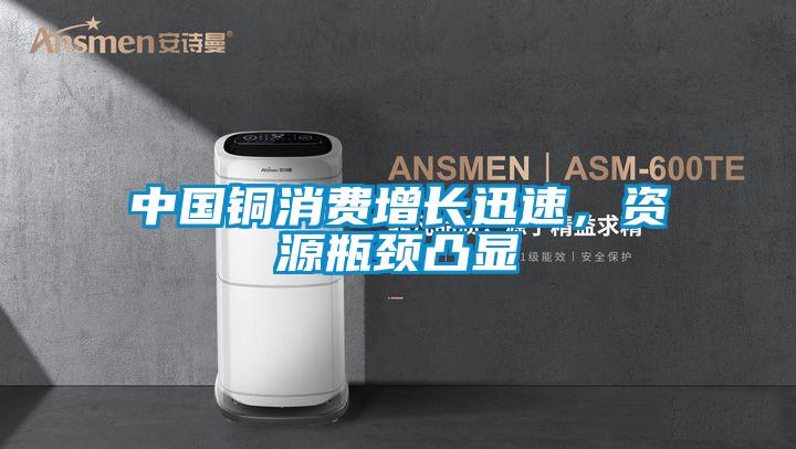 中國銅消費(fèi)增長迅速,資源瓶頸凸顯