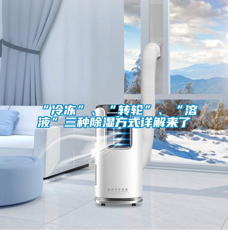 “冷凍”、“轉(zhuǎn)輪”、“溶液”三種除濕方式詳解來了
