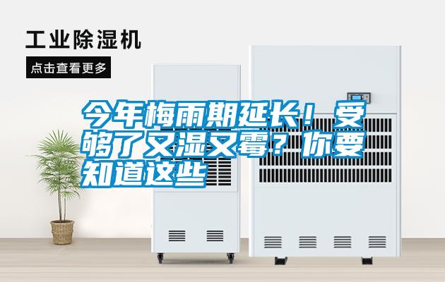 今年梅雨期延長!受夠了又濕又霉?你要知道這些