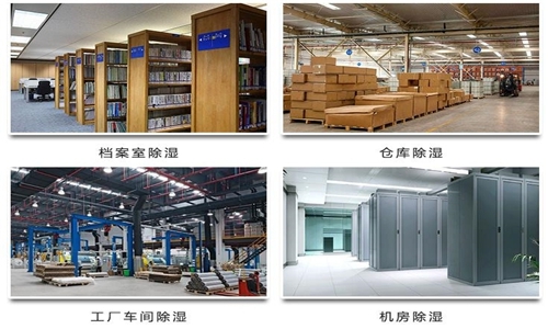 為什么竹筍烘干房需要除濕機(jī)?