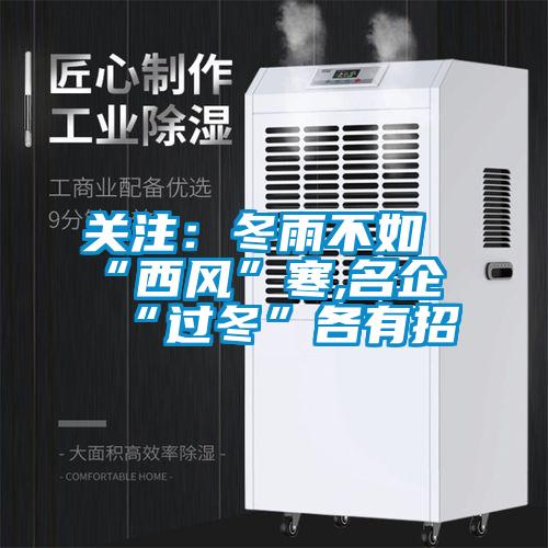 關注:冬雨不如“西風”寒,名企“過冬”各有招