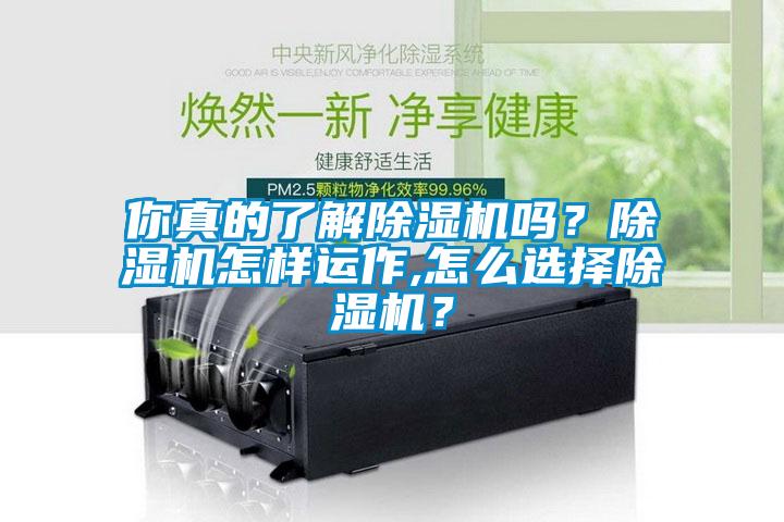 你真的了解除濕機嗎？除濕機怎樣運作,怎么選擇除濕機？