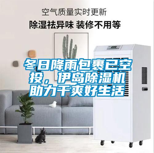 冬日降雨包裹已空投,伊島除濕機助力干爽好生活