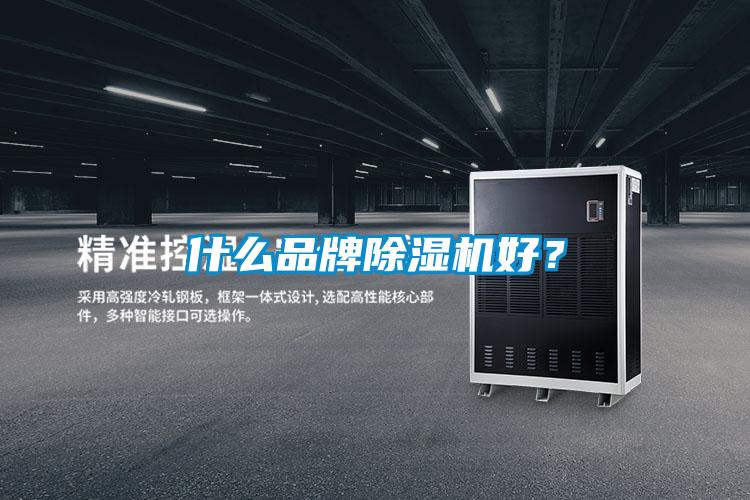 什么品牌除濕機好？