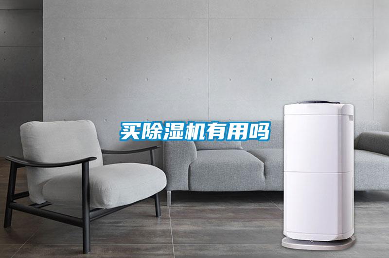 買(mǎi)除濕機(jī)有用嗎