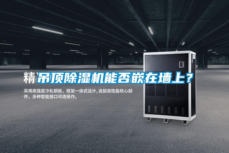吊頂除濕機能否嵌在墻上?