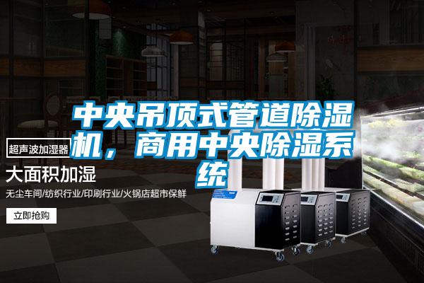 中央吊頂式管道除濕機，商用中央除濕系統