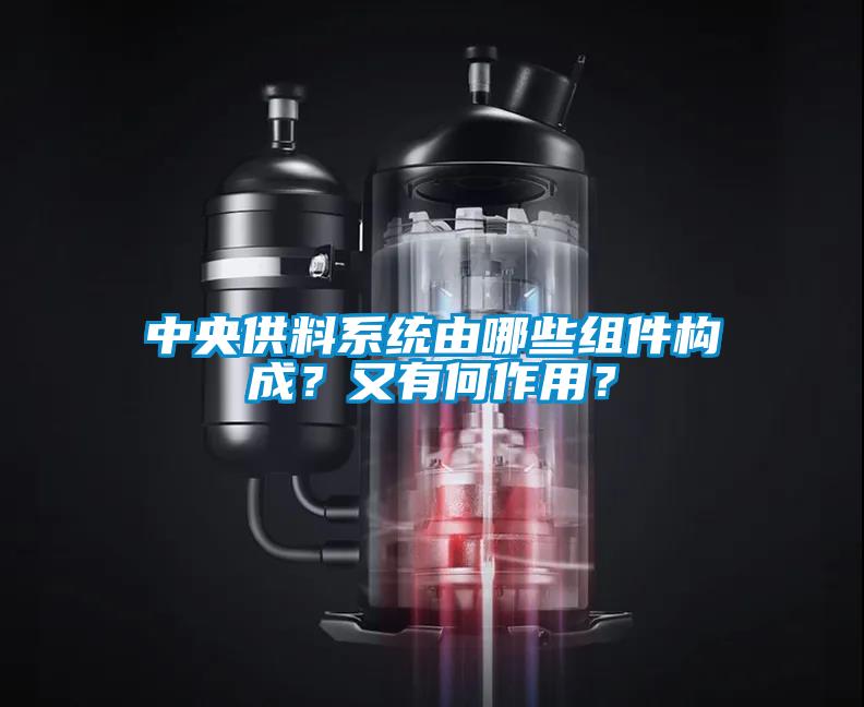 中央供料系統由哪些組件構成？又有何作用？