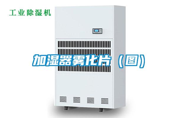 加濕器霧化片(圖)