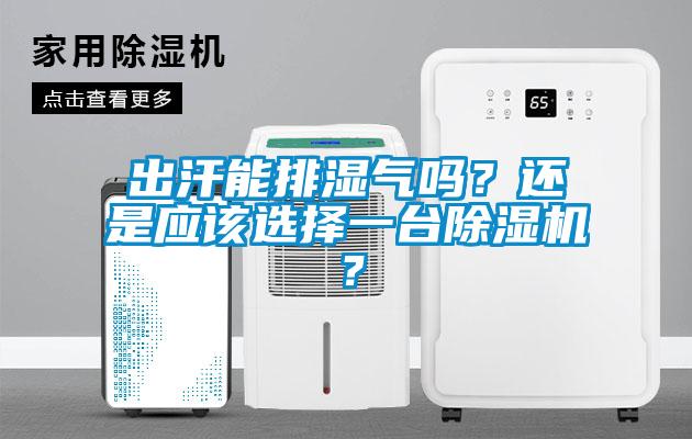 出汗能排濕氣嗎？還是應該選擇一臺除濕機？