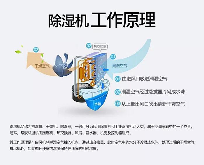 南北之爭(zhēng):南方的濕冷比北方的干冷更變態(tài)?