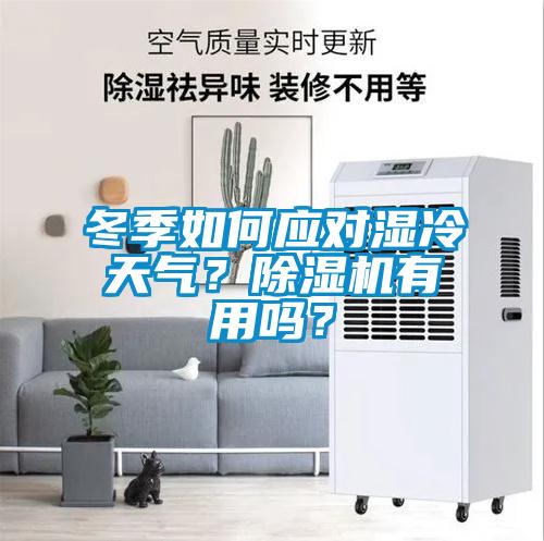 冬季如何應(yīng)對濕冷天氣?除濕機有用嗎?