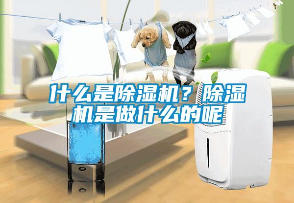 什么是除濕機？除濕機是做什么的呢