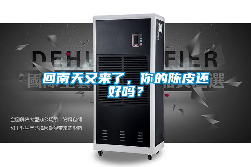 回南天又來(lái)了,你的陳皮還好嗎?