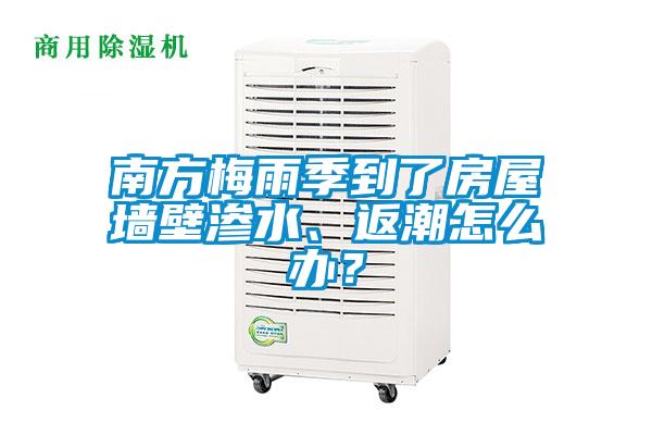 南方梅雨季到了房屋墻壁滲水、返潮怎么辦？