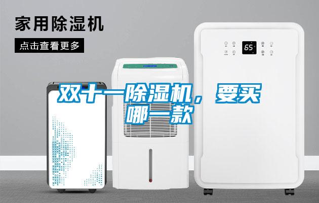 雙十一除濕機，要買哪一款