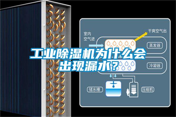 工業(yè)除濕機(jī)為什么會出現(xiàn)漏水?