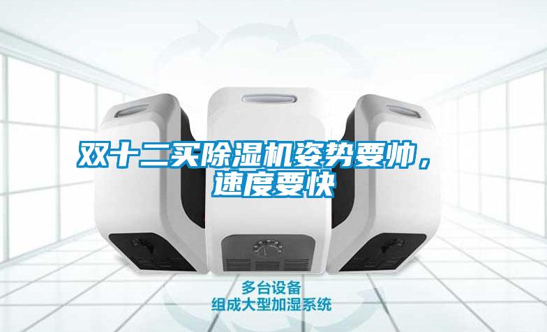 雙十二買除濕機姿勢要帥， 速度要快