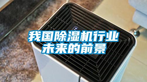我國(guó)除濕機(jī)行業(yè)未來的前景
