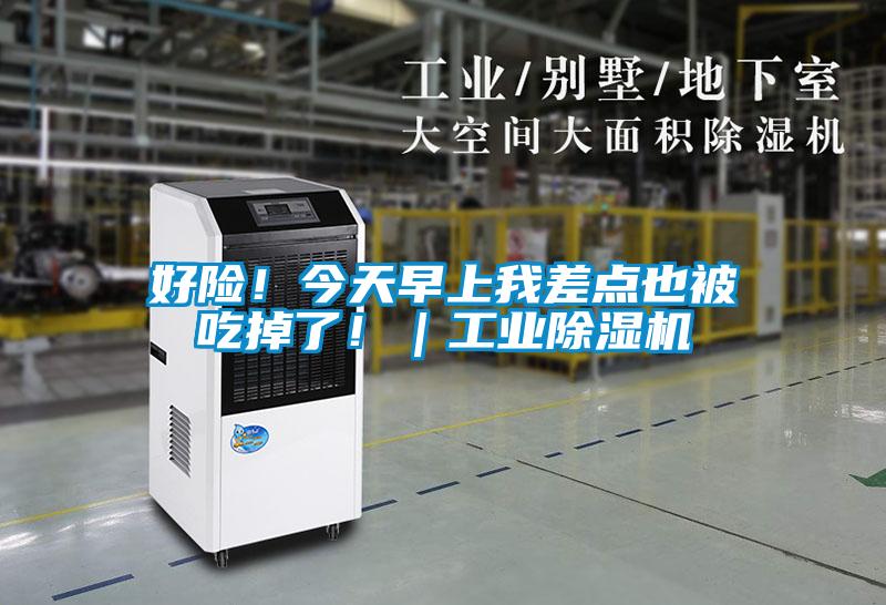 好險！今天早上我差點也被吃掉了?。I除濕機