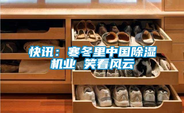快訊:寒冬里中國除濕機業 笑看風云