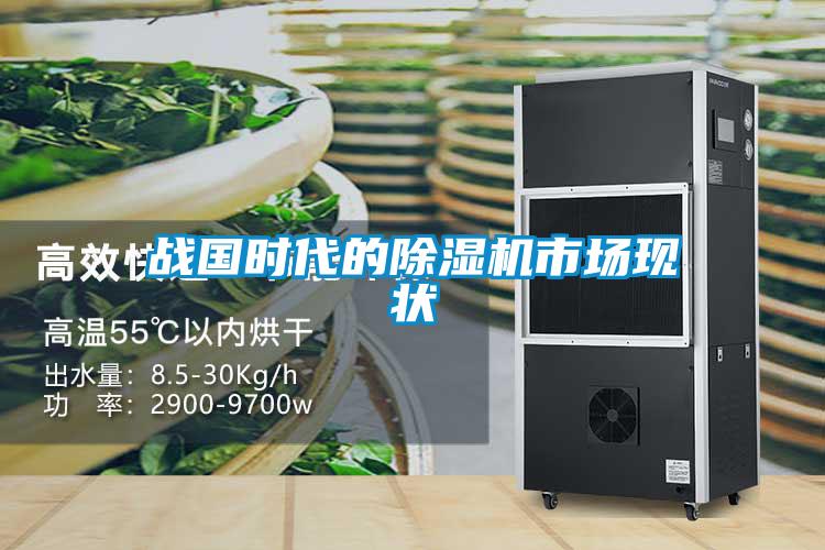 戰(zhàn)國時(shí)代的除濕機(jī)市場現(xiàn)狀