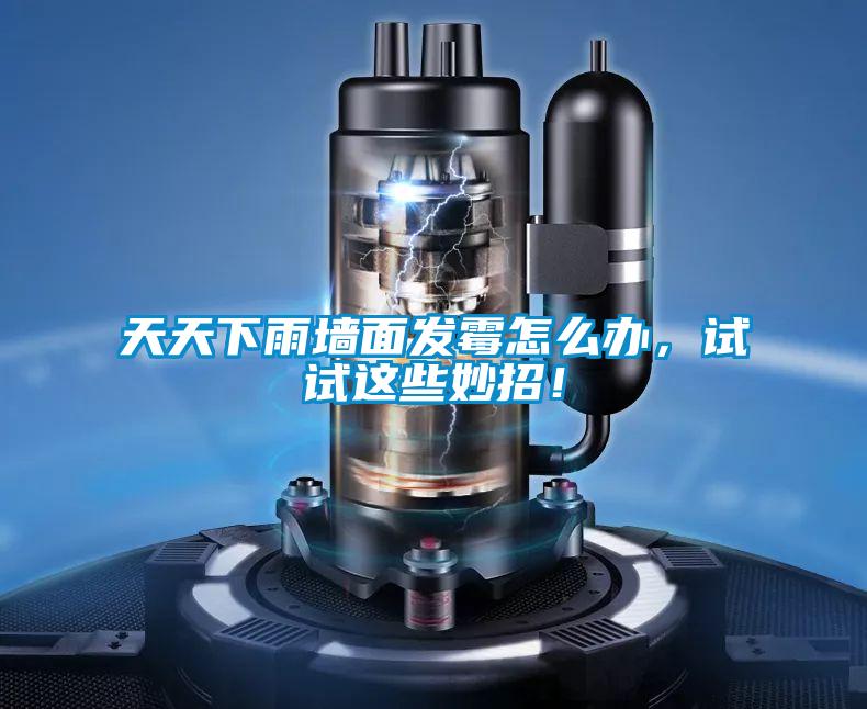 天天下雨墻面發(fā)霉怎么辦,試試這些妙招!