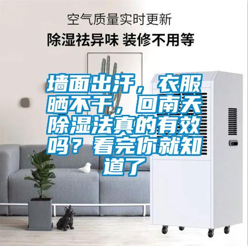 墻面出汗，衣服曬不干，回南天除濕法真的有效嗎？看完你就知道了