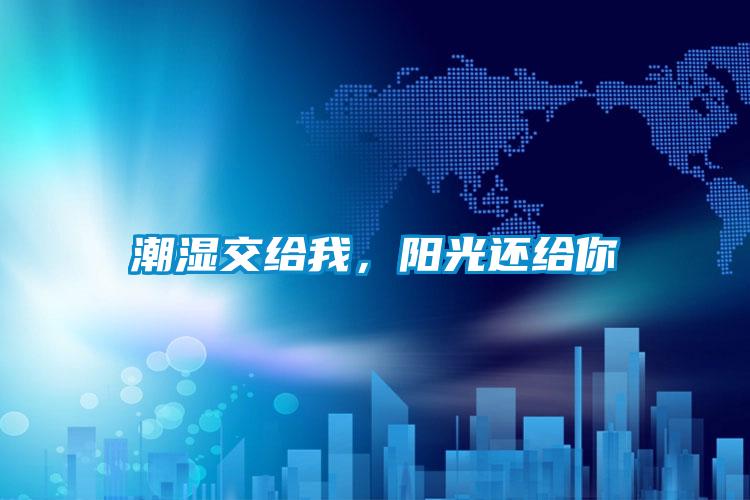 潮濕交給我，陽光還給你