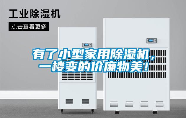 有了小型家用除濕機,一樓變的價廉物美!