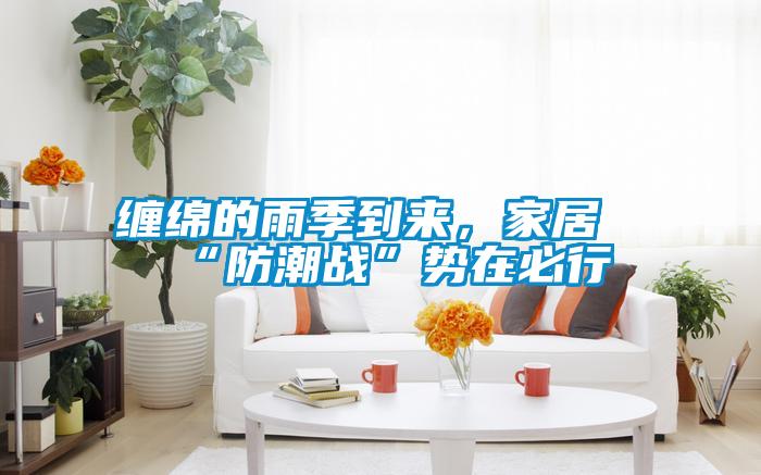 纏綿的雨季到來,家居“防潮戰”勢在必行
