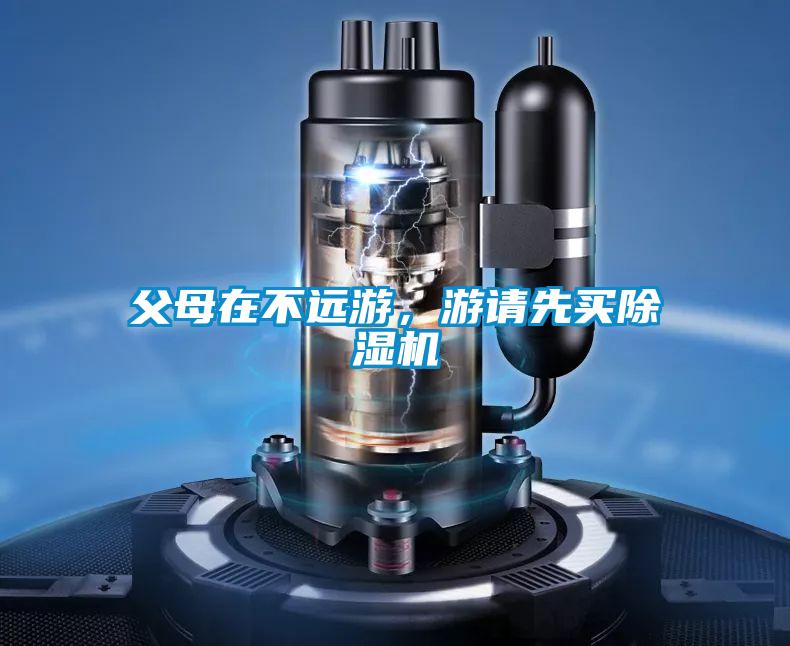 父母在不遠(yuǎn)游，游請先買除濕機(jī)