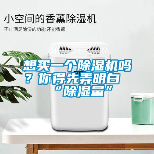 想買一個除濕機(jī)嗎?你得先弄明白“除濕量”