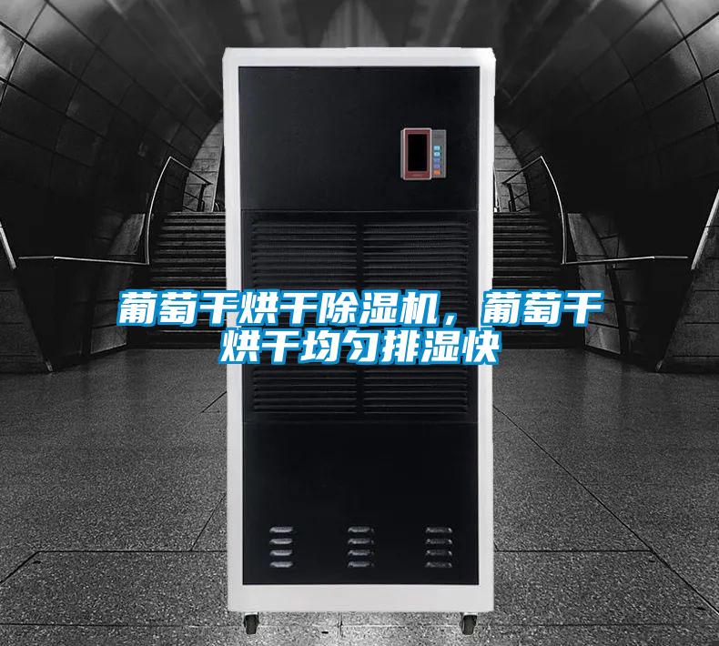 葡萄干烘干除濕機,葡萄干烘干均勻排濕快