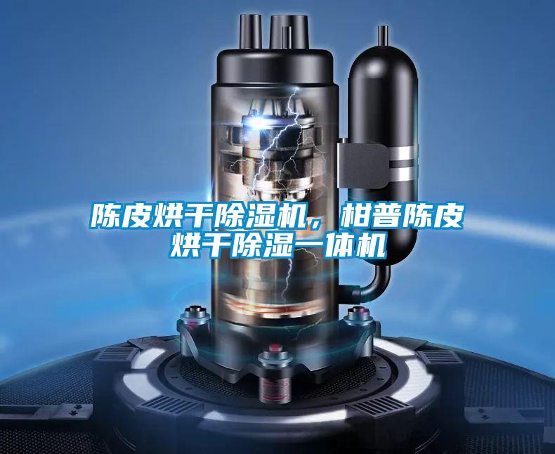 陳皮烘干除濕機,柑普陳皮烘干除濕一體機