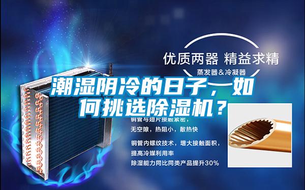 潮濕陰冷的日子，如何挑選除濕機？