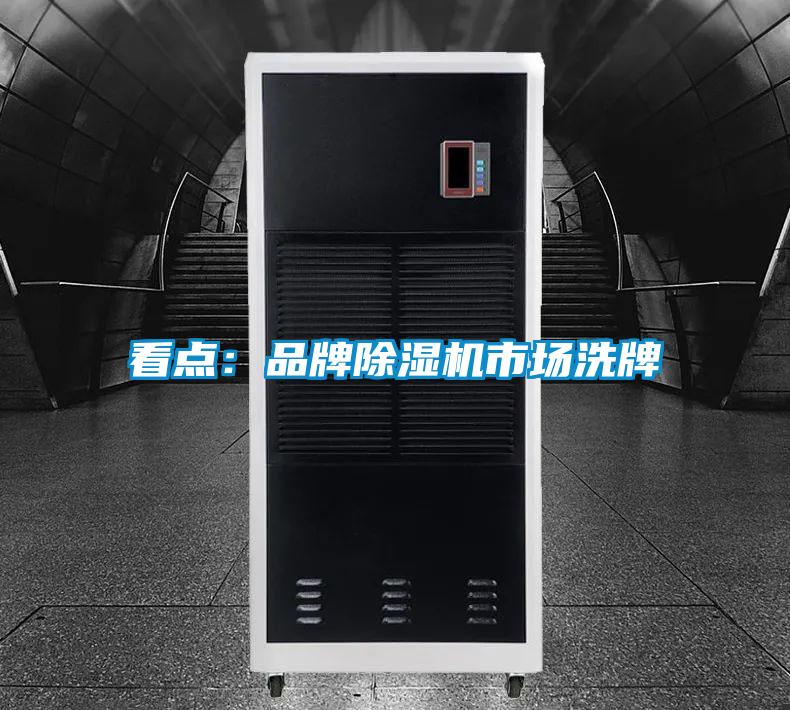 看點(diǎn)：品牌除濕機(jī)市場洗牌