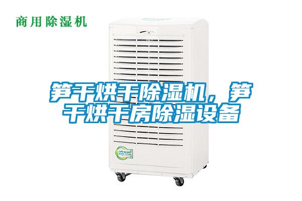 筍干烘干除濕機(jī),筍干烘干房除濕設(shè)備