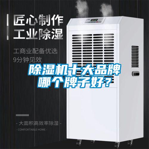 除濕機(jī)十大品牌哪個(gè)牌子好?