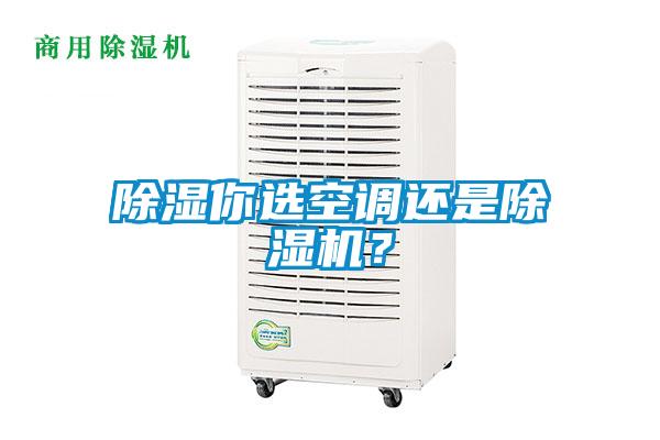 除濕你選空調(diào)還是除濕機？