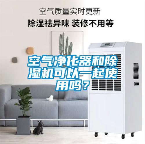 空氣凈化器和除濕機(jī)可以一起使用嗎?