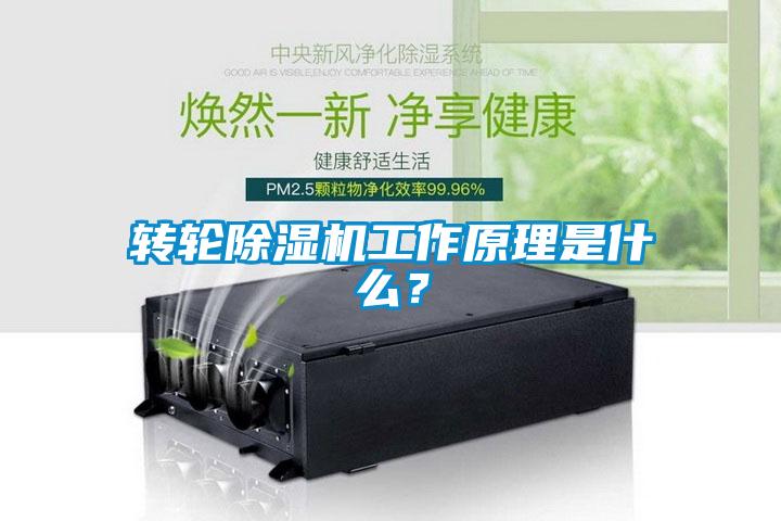 轉輪除濕機工作原理是什么?