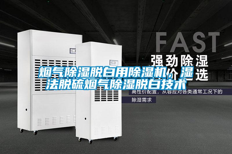 煙氣除濕脫白用除濕機,濕法脫硫煙氣除濕脫白技術