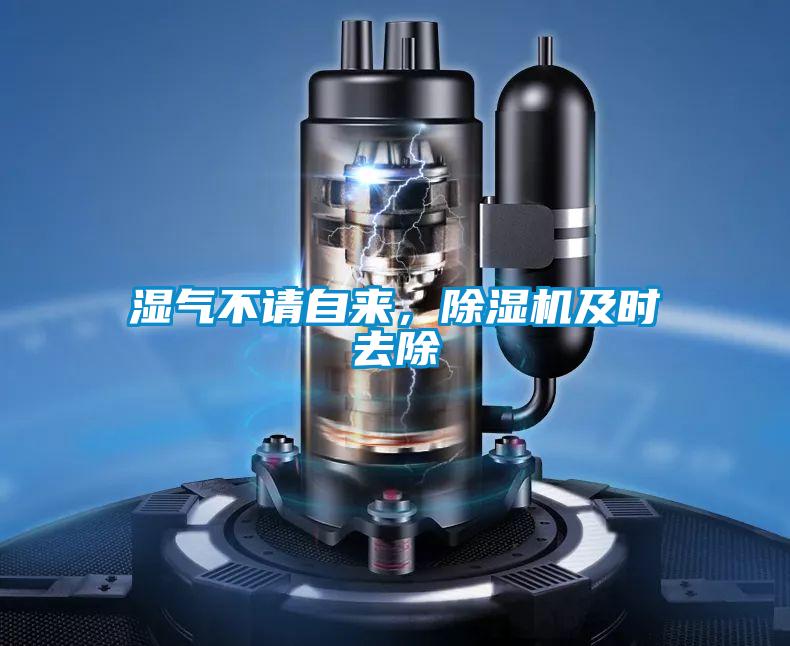 濕氣不請自來，除濕機及時去除