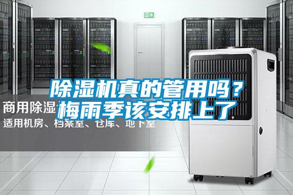 除濕機(jī)真的管用嗎?梅雨季該安排上了