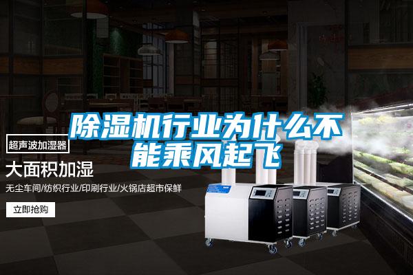 除濕機行業(yè)為什么不能乘風起飛