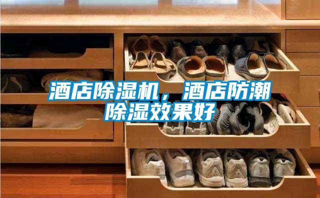 酒店除濕機(jī),酒店防潮除濕效果好