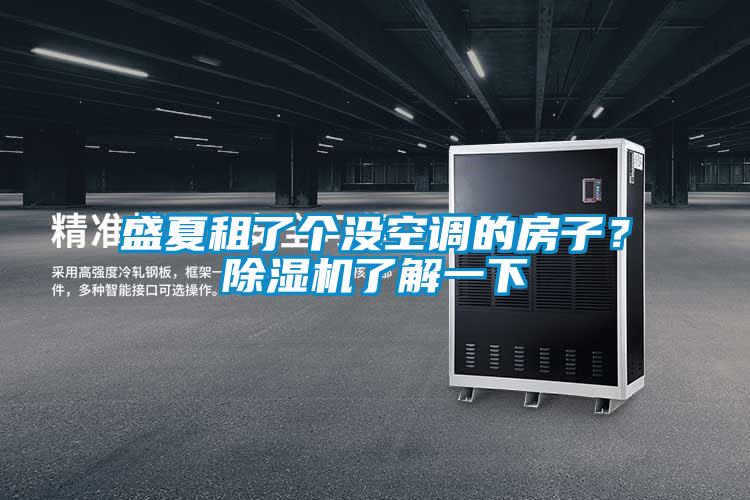 盛夏租了個沒空調的房子？除濕機了解一下