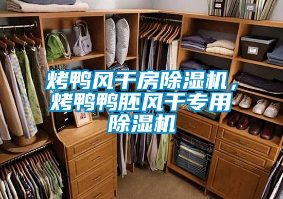 烤鴨風(fēng)干房除濕機(jī)，烤鴨鴨胚風(fēng)干專(zhuān)用除濕機(jī)